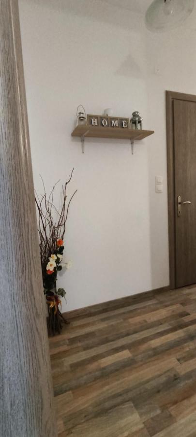 卡兰巴卡Meteora Mandras House公寓 外观 照片